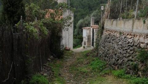 camí 