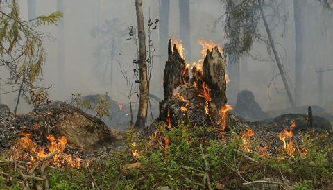 MESURES PREVENIR FOC