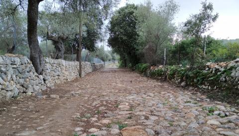 camí de Son Maga