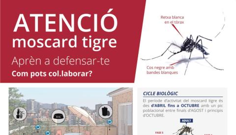 moscard