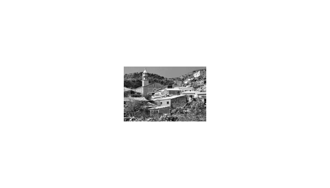 Montaura - Revista Mancor de la Vall